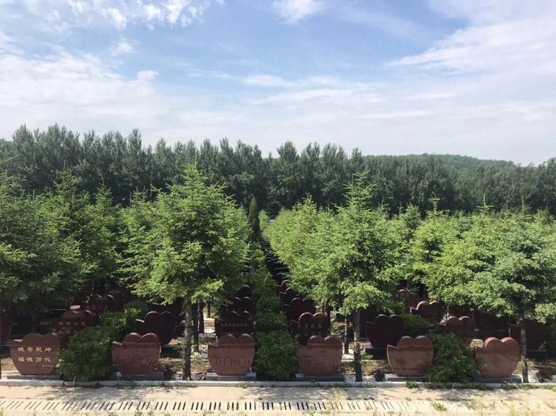 沈阳纪念林公墓：缅怀故人之地